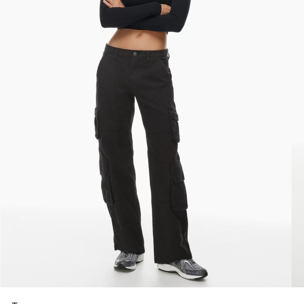 Aritzia Rover Cargo Pant